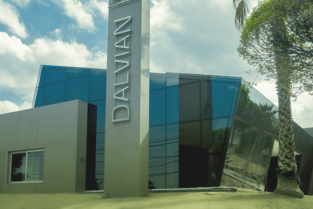 dalvian2